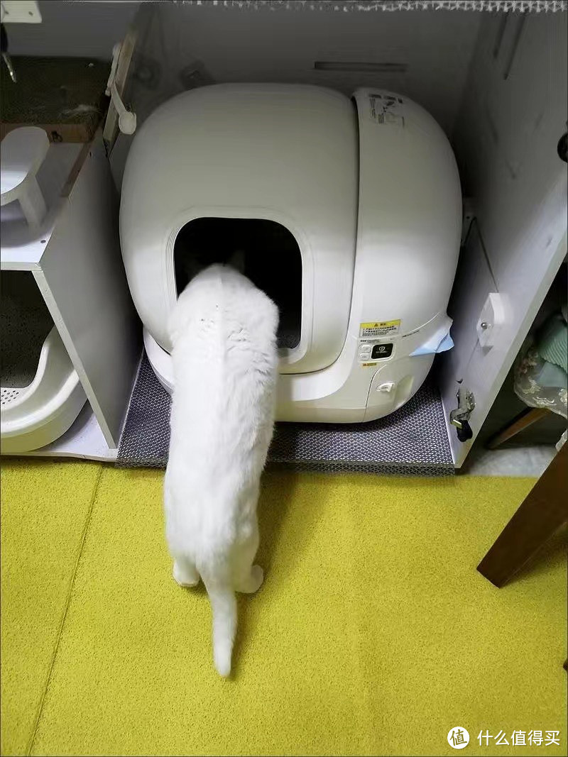 3 小佩智能猫厕所MAX全自动猫砂盆超大号电动全封闭猫咪用品防外溅