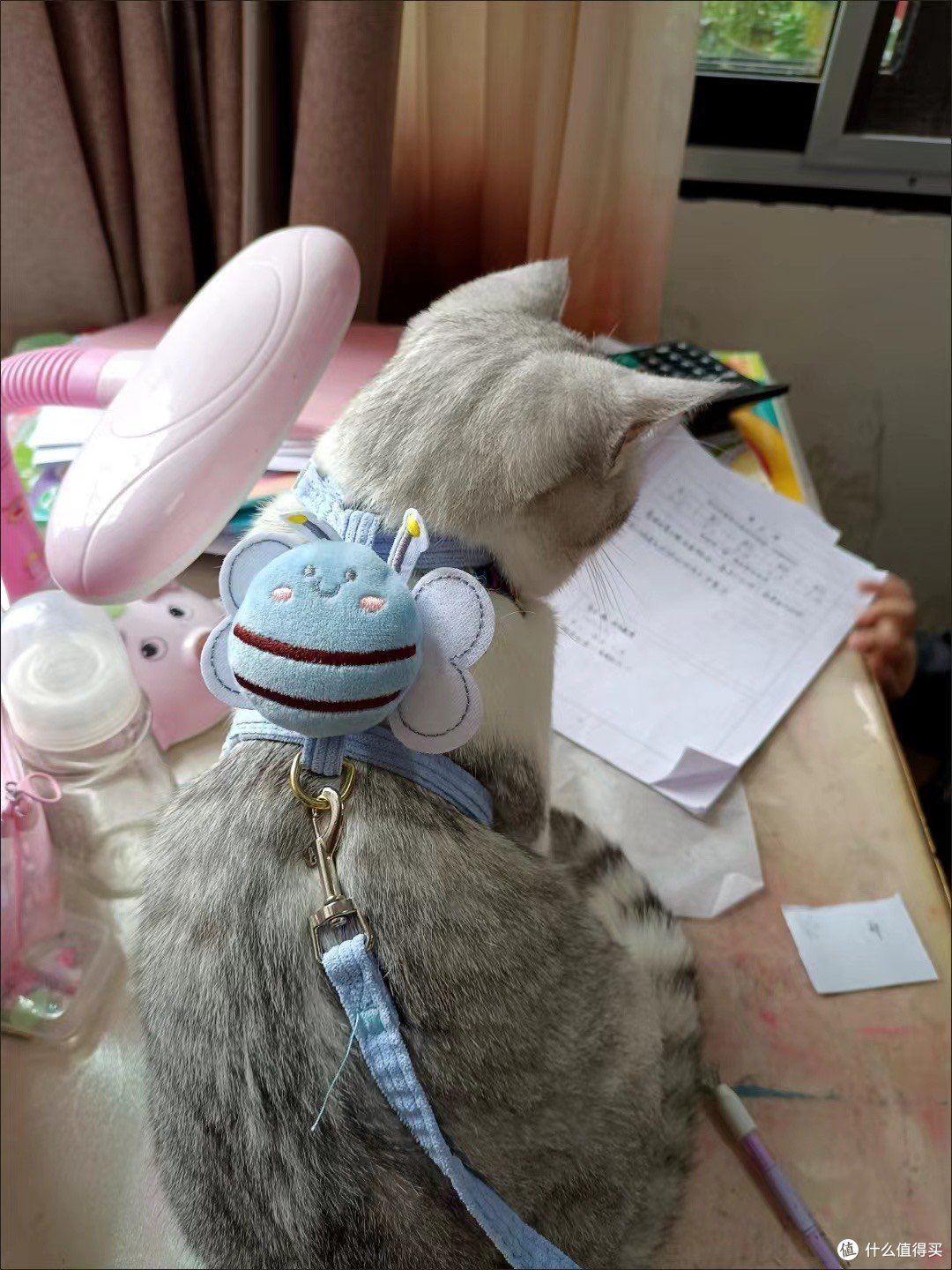 猫咪牵引绳