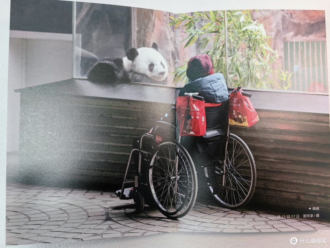 萌萌与老奶奶温柔对视