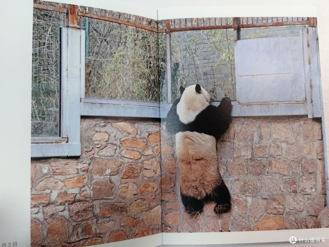 西直门三太子萌兰出书啦!萌趣可爱超治愈!