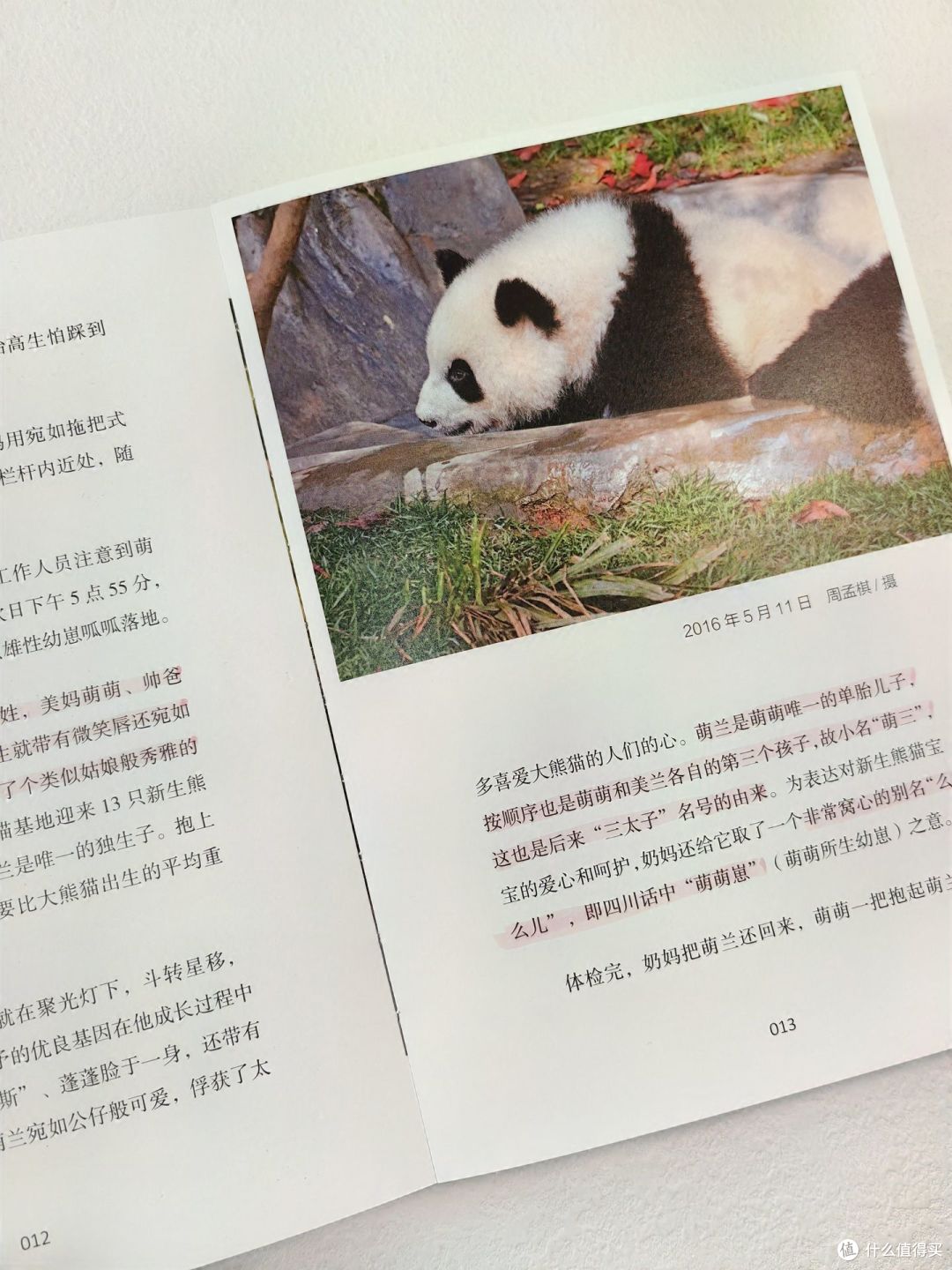 西直门三太子萌兰出书啦!萌趣可爱超治愈!