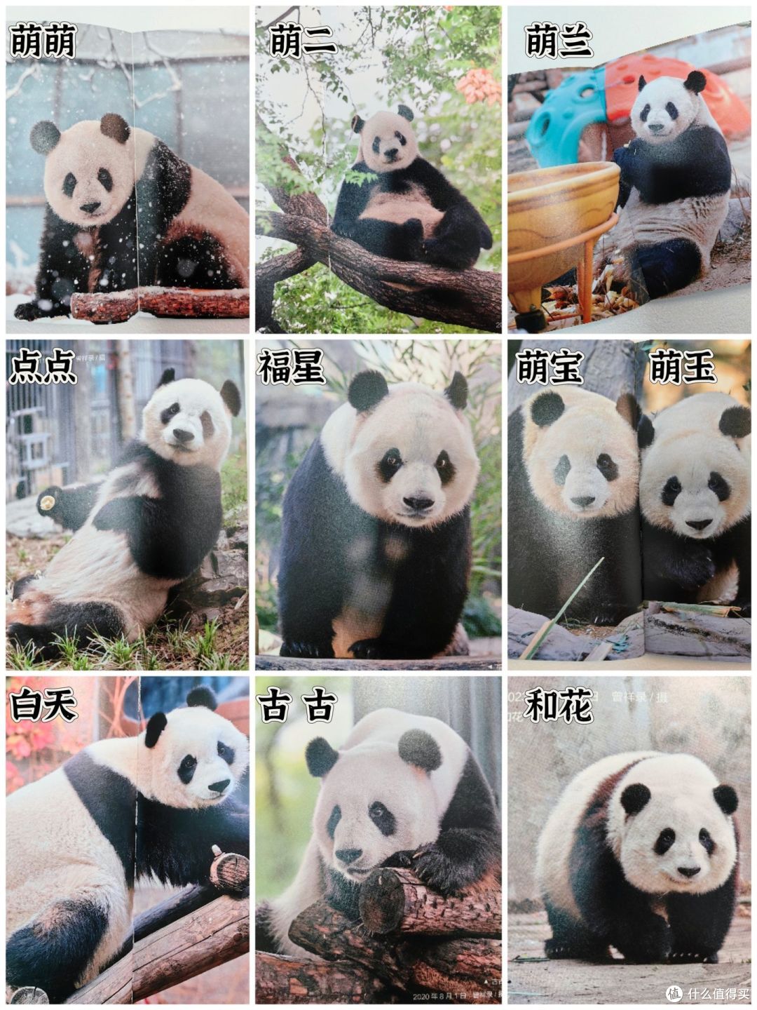 西直门三太子萌兰出书啦!萌趣可爱超治愈!