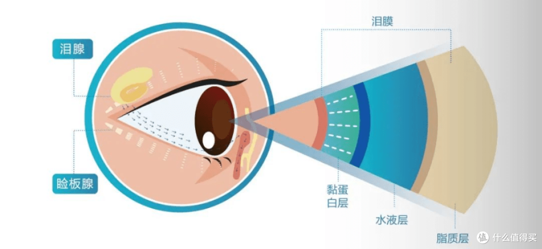 眼睛干涩难忍？小心“干眼”毁掉视力，“急救指南”在这~
