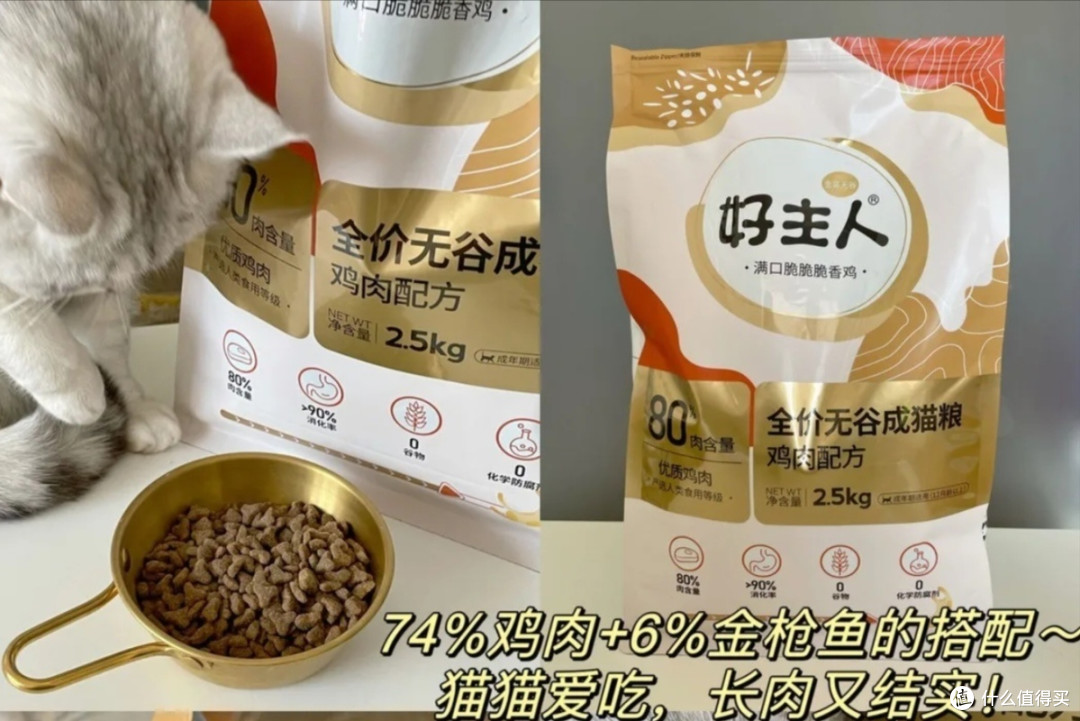 养银渐层真的不贵！月均130＋就够了