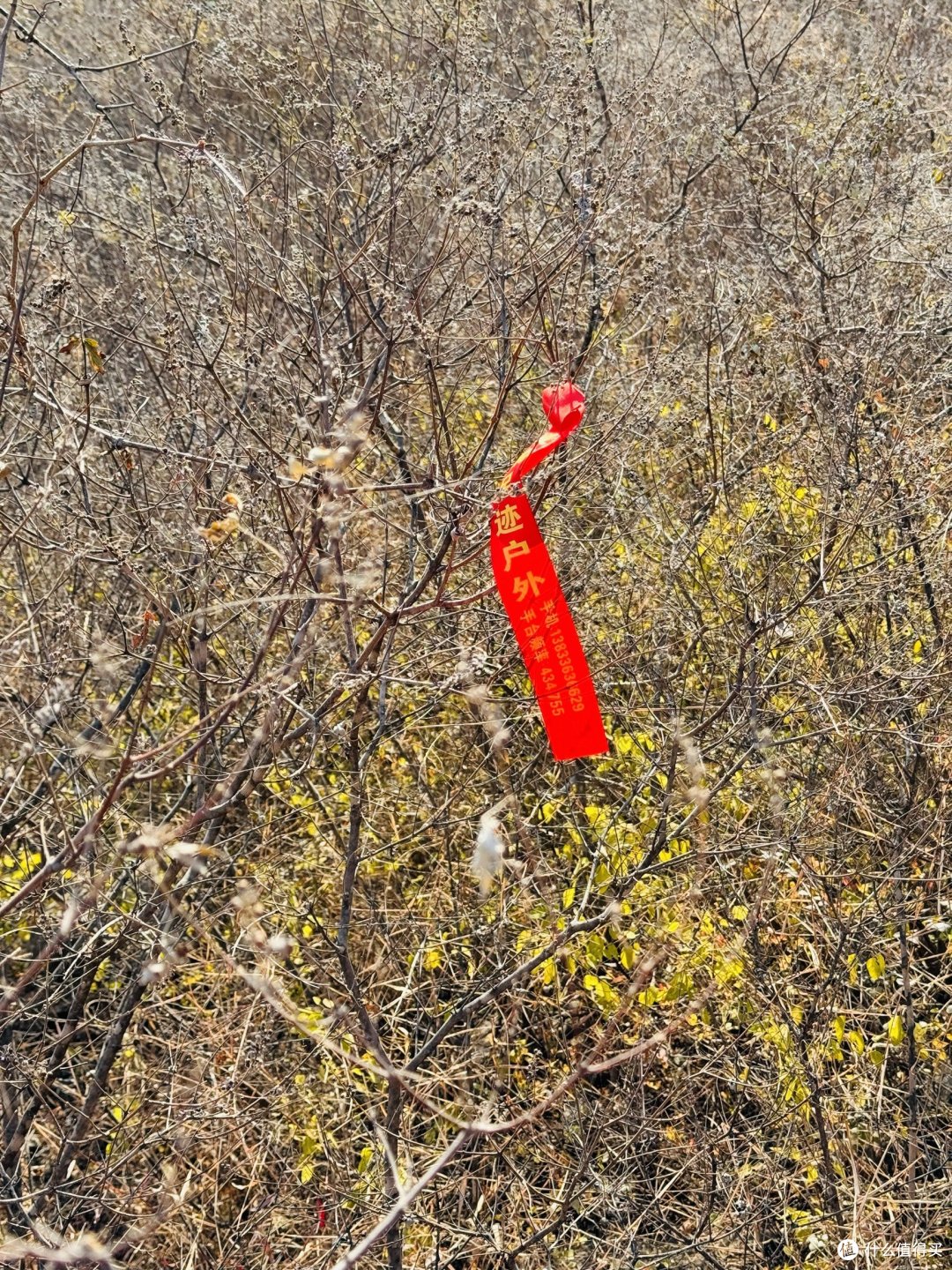 7小时,19公里,未经开发的石板山徒步之旅