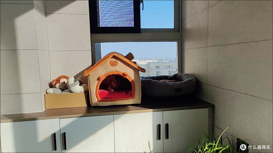 猫窝窝