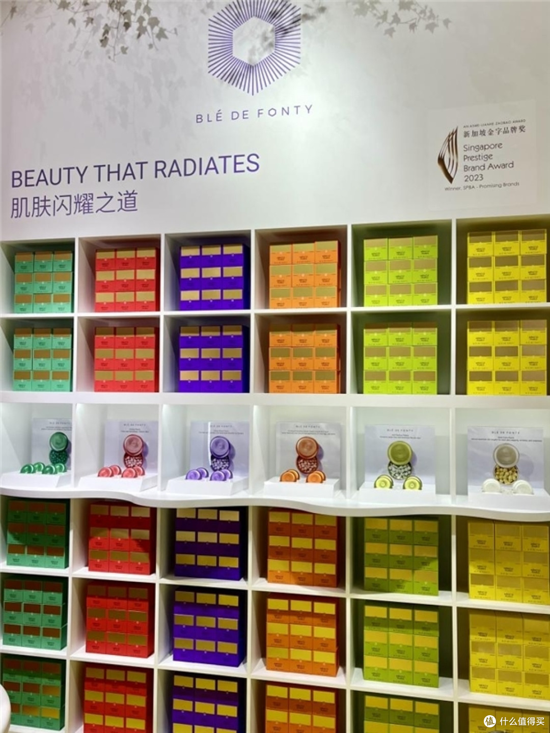 央视采访下的新加坡护肤品—枫缇,小胶囊,大机遇!