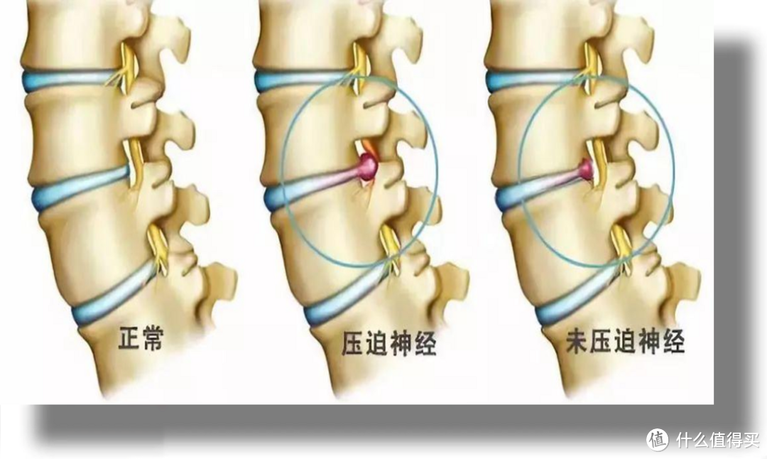 开团 | 终于来了！高性价比人体工学椅选购指南，歌德利V1 6代人体工学椅我想反复推荐！