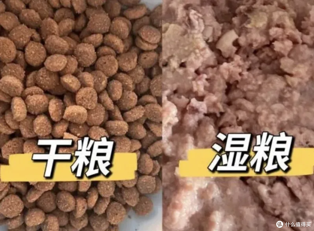 干粮通常以猫粮为主，湿粮多以罐头呈现