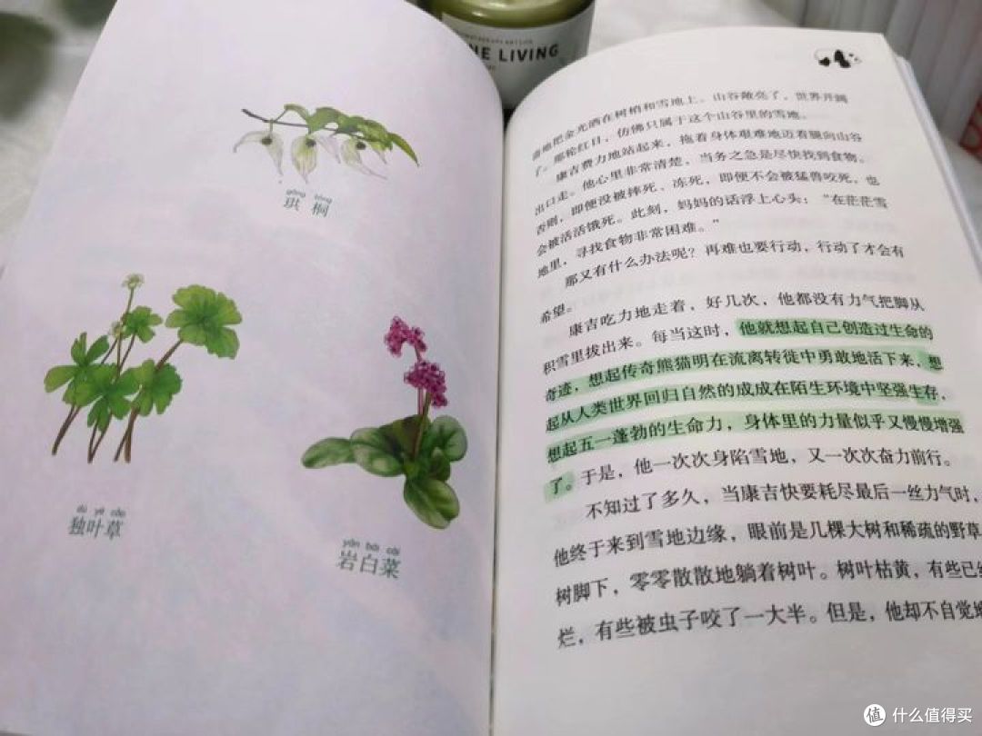 想让孩子更独立不如看看这本书!