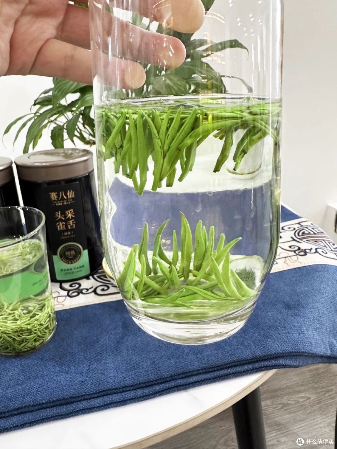 赛八仙·四大绿茶:尝遍四大绿茶,一次满足你的品茶需求!