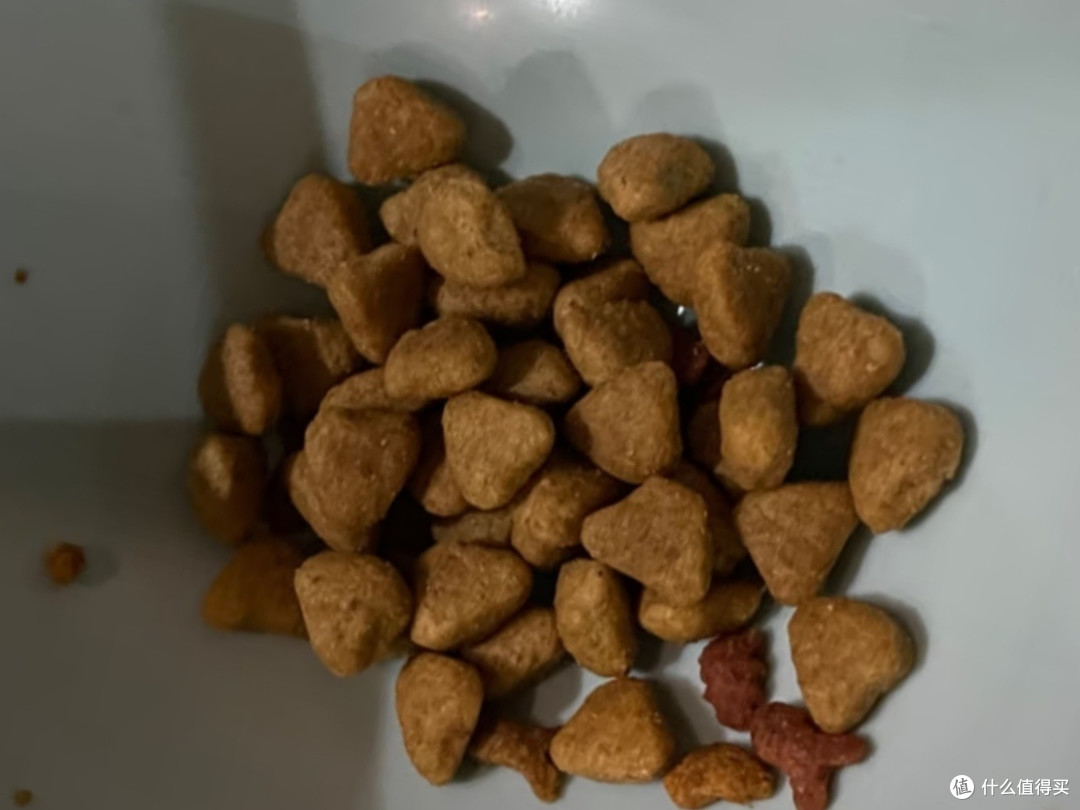 冬季猫咪福音,皇家猫粮!
