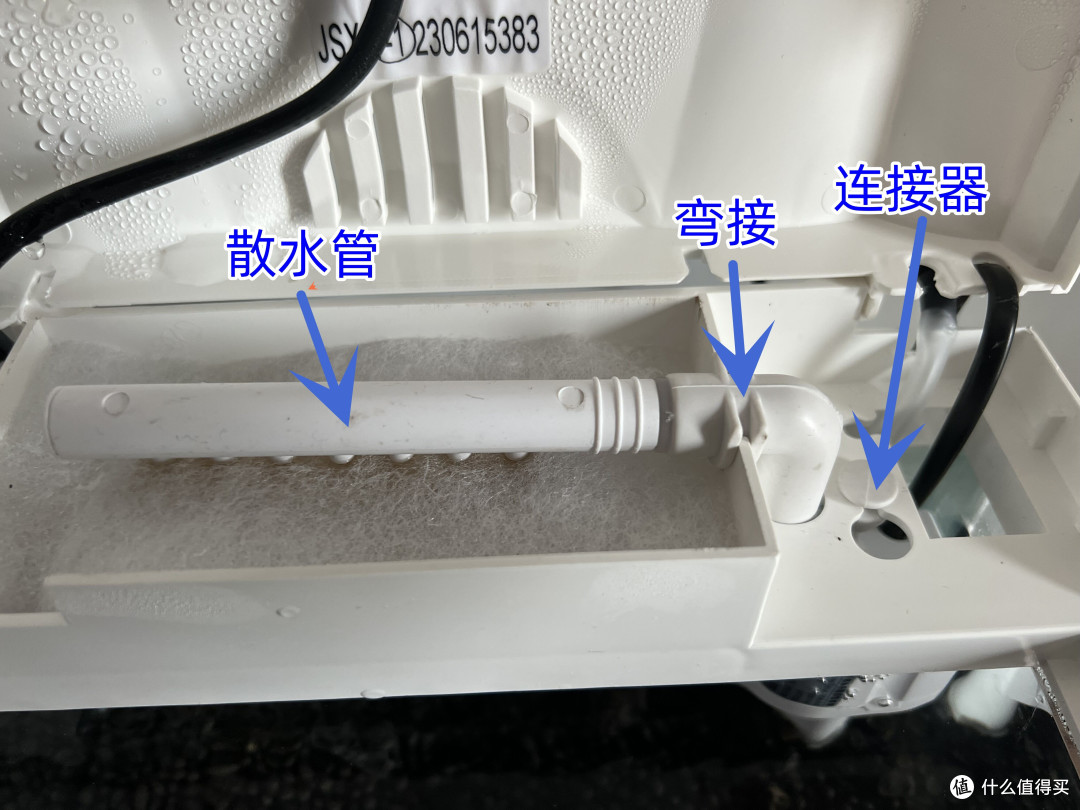 高达缸死鱼,29.9 元的森森鱼缸强行开缸,成临时安置场所