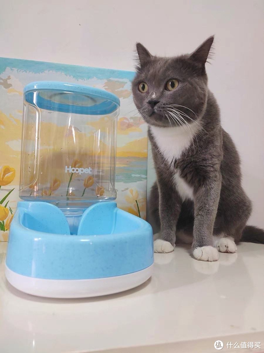 猫猫饮水机