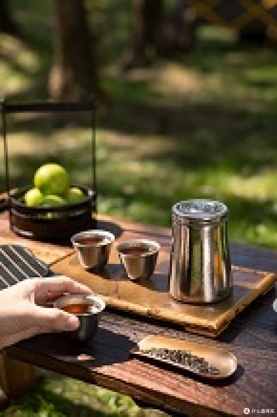 户外饮茶，听风品茗！
