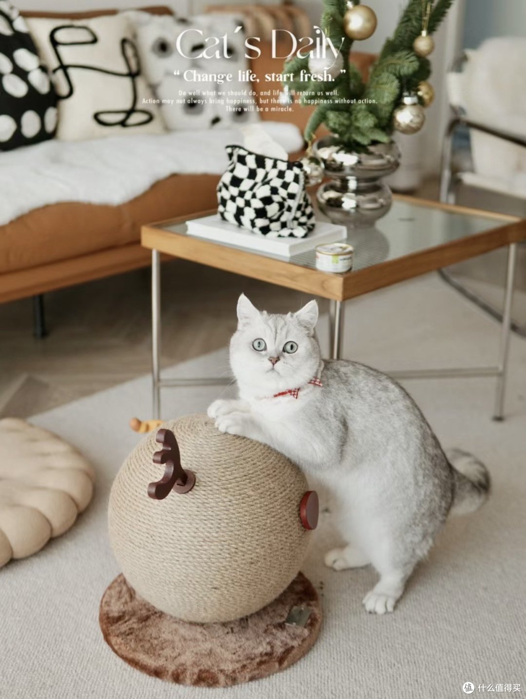 自从有了自动猫砂机,我就再也不用闻到臭臭的猫shi 味了