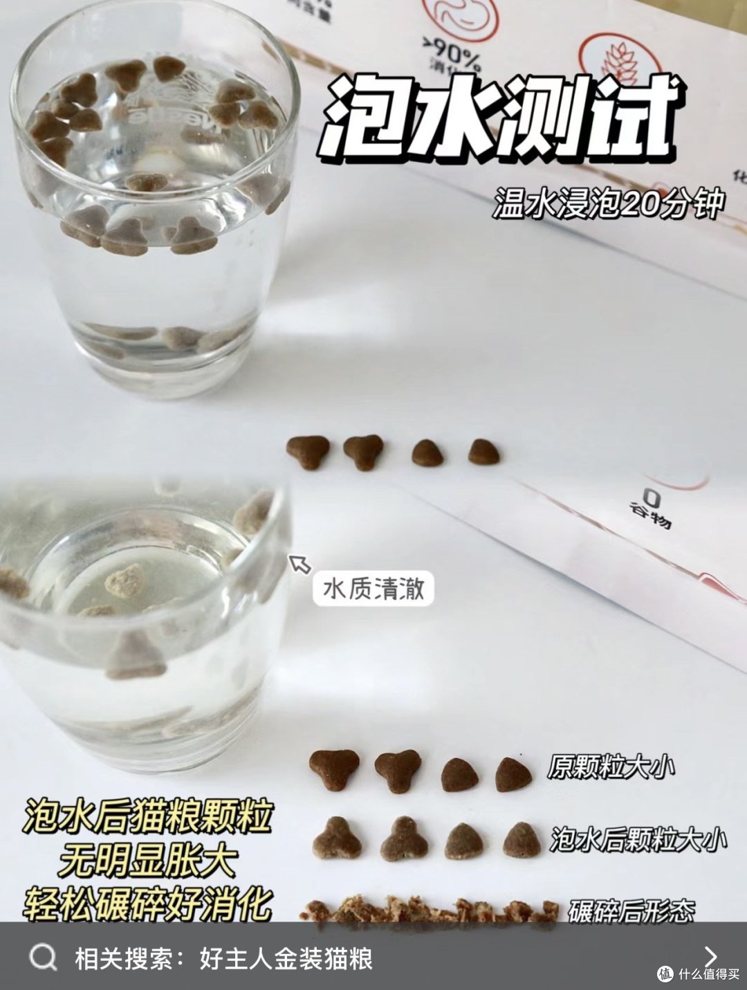 性价比的猫粮