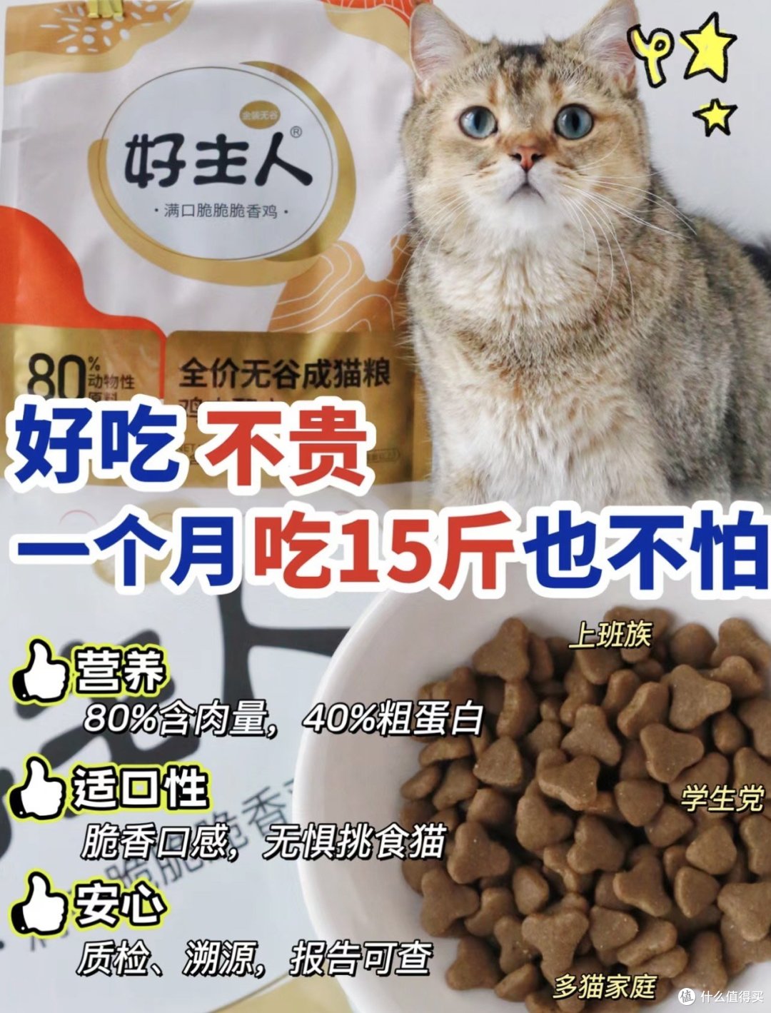 性价比的猫粮
