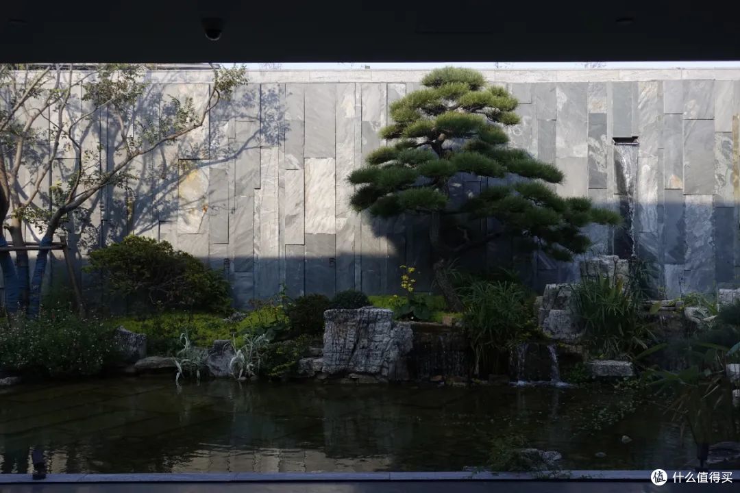 上山修心、进宫喝茶，云东境在徐州续写东方雅奢美学