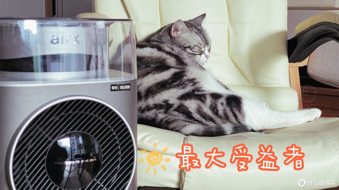 要如何抵抗南方冬天的魔法攻击?取暖器还是空调?