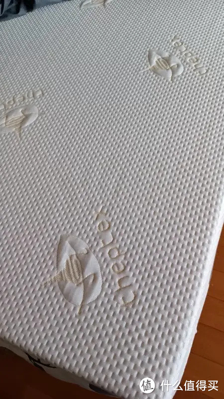 苏老伯泰国Theptex有机乳胶床垫：最美好的投资