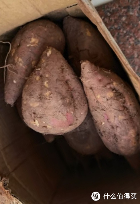 静益乐源商薯红薯 白心红薯 板栗红薯 农家地瓜 新鲜蔬菜 5斤中大果