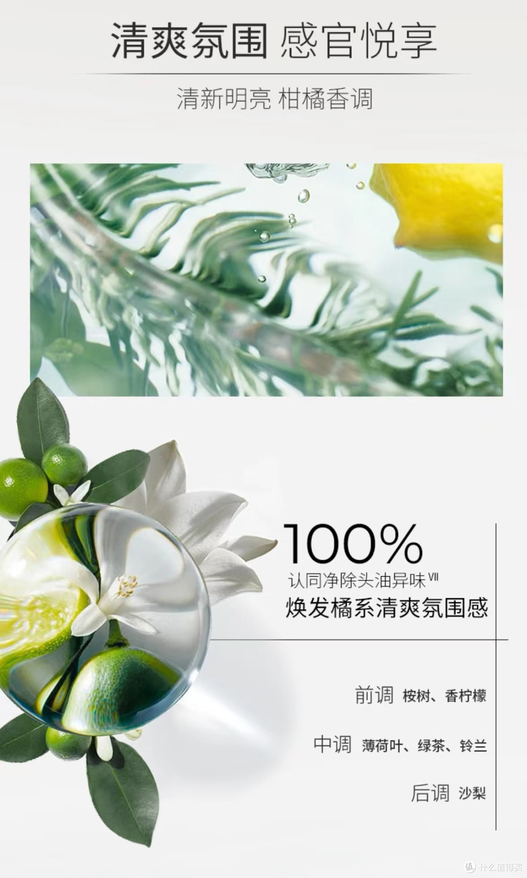 众测13：告别头皮屑，施华蔻洗护套装帮你轻松解决