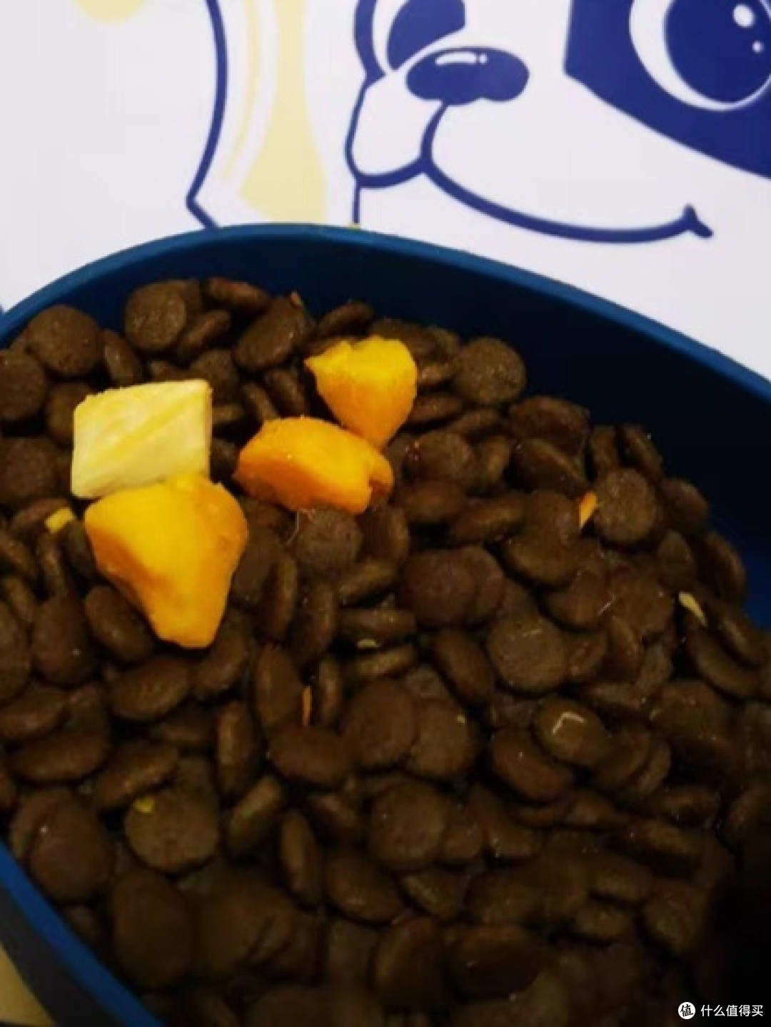 狗粮