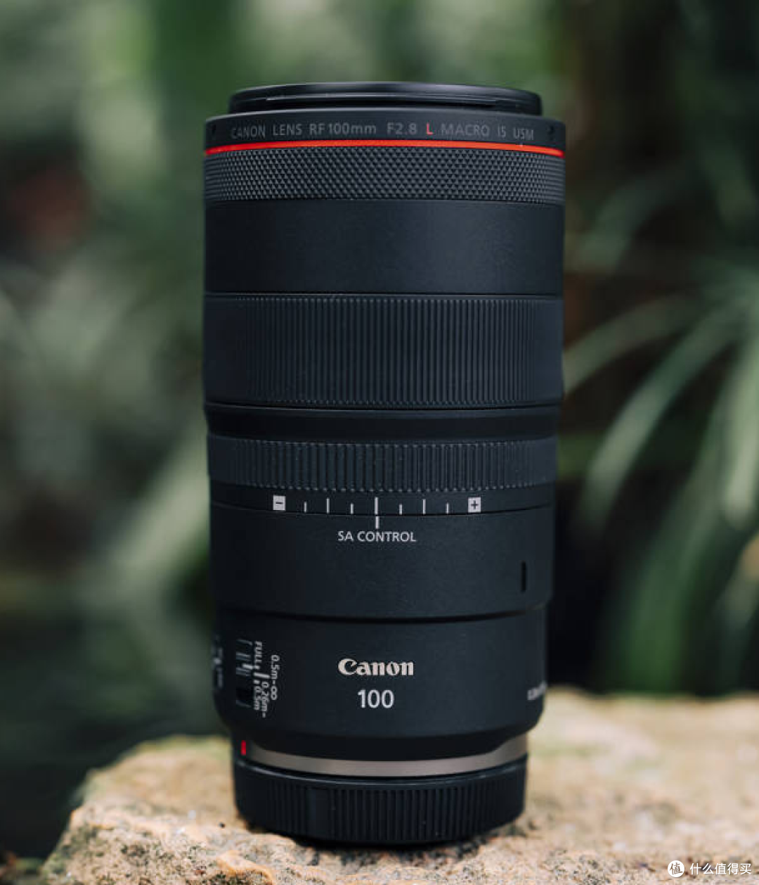 终局 使用心得canon rf 10-20mm f/4l is stm_镜头_什么值得买