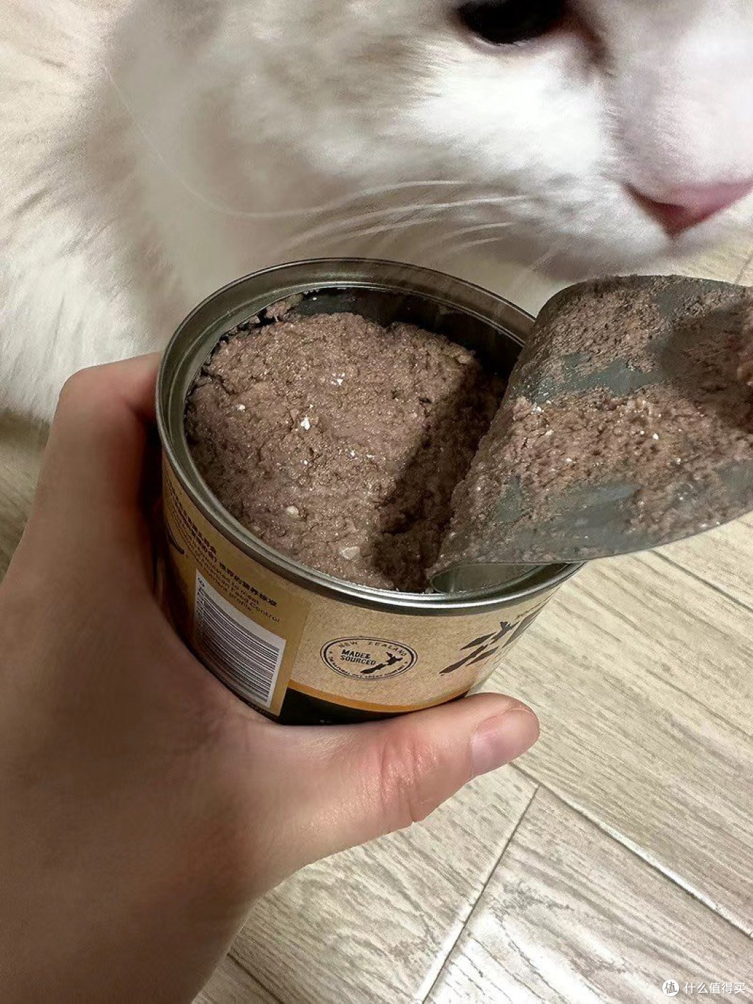 Zeal猫罐头