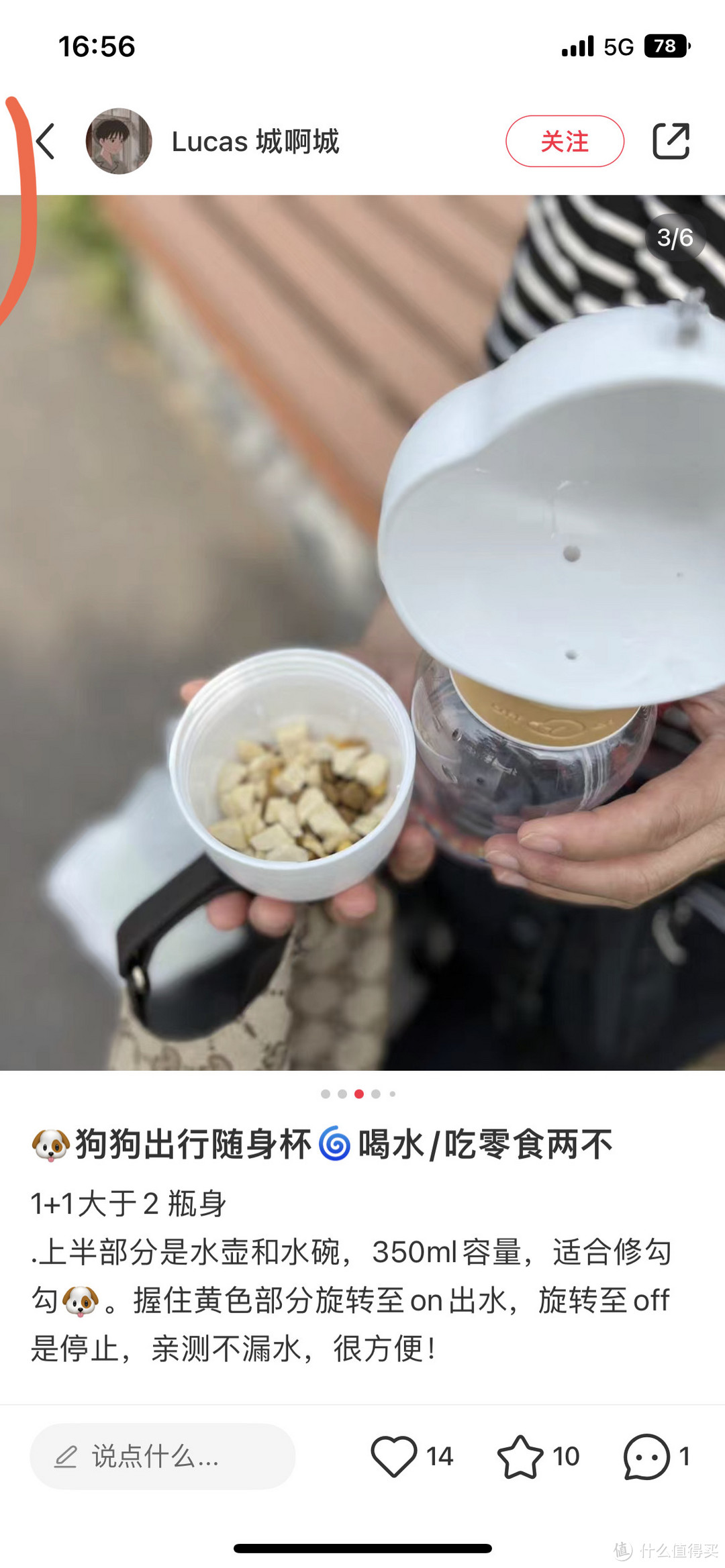 带小狗出门还要带饮水杯哦