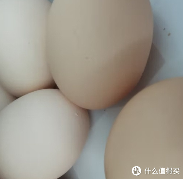 京鲜生 鲜鸡蛋