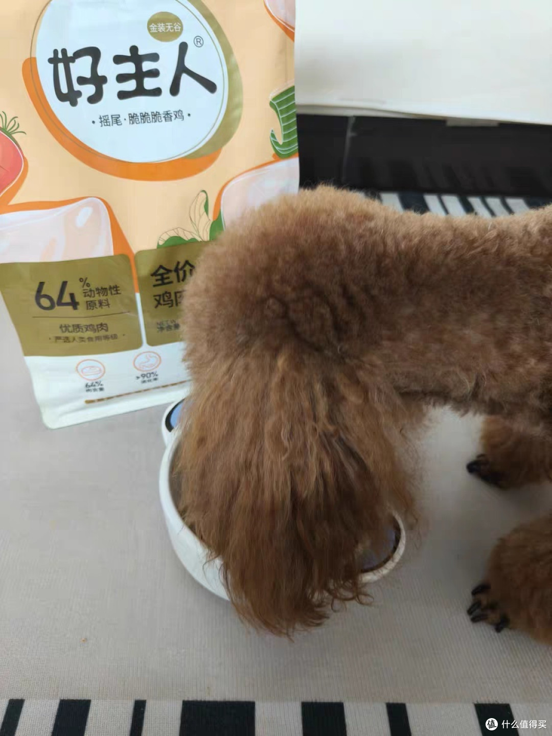 养狗消费:狗粮