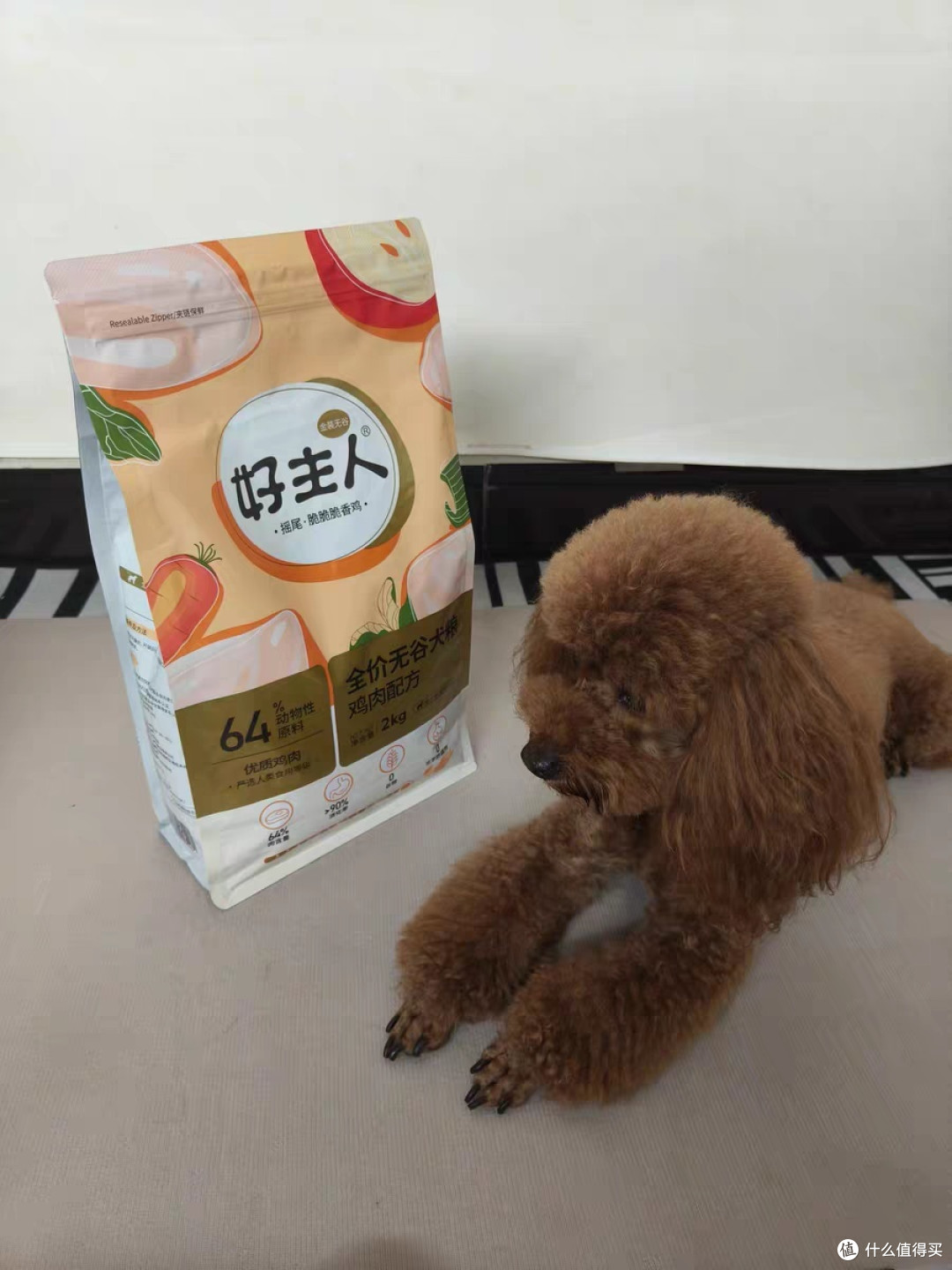 养狗消费:狗粮