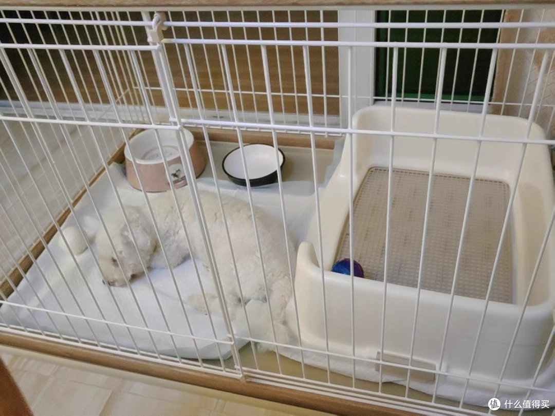 狗窝