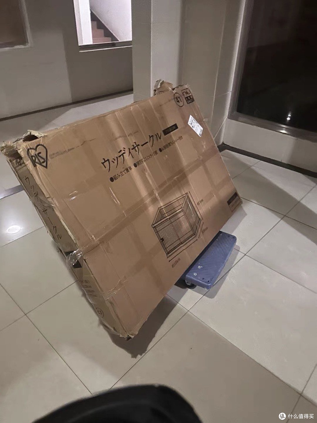 狗窝