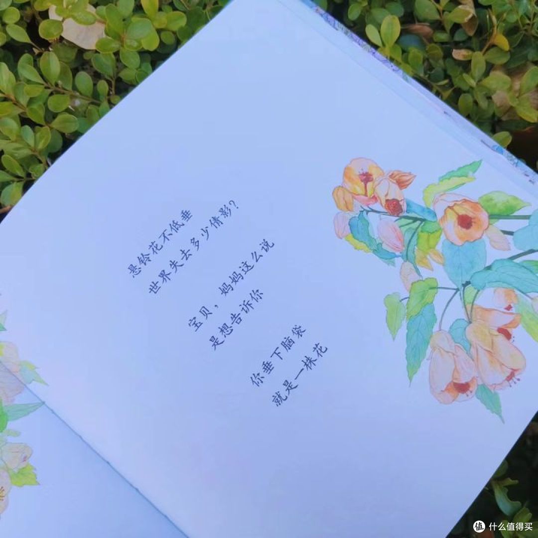 《植物的诗》滋润心田,美到心间!
