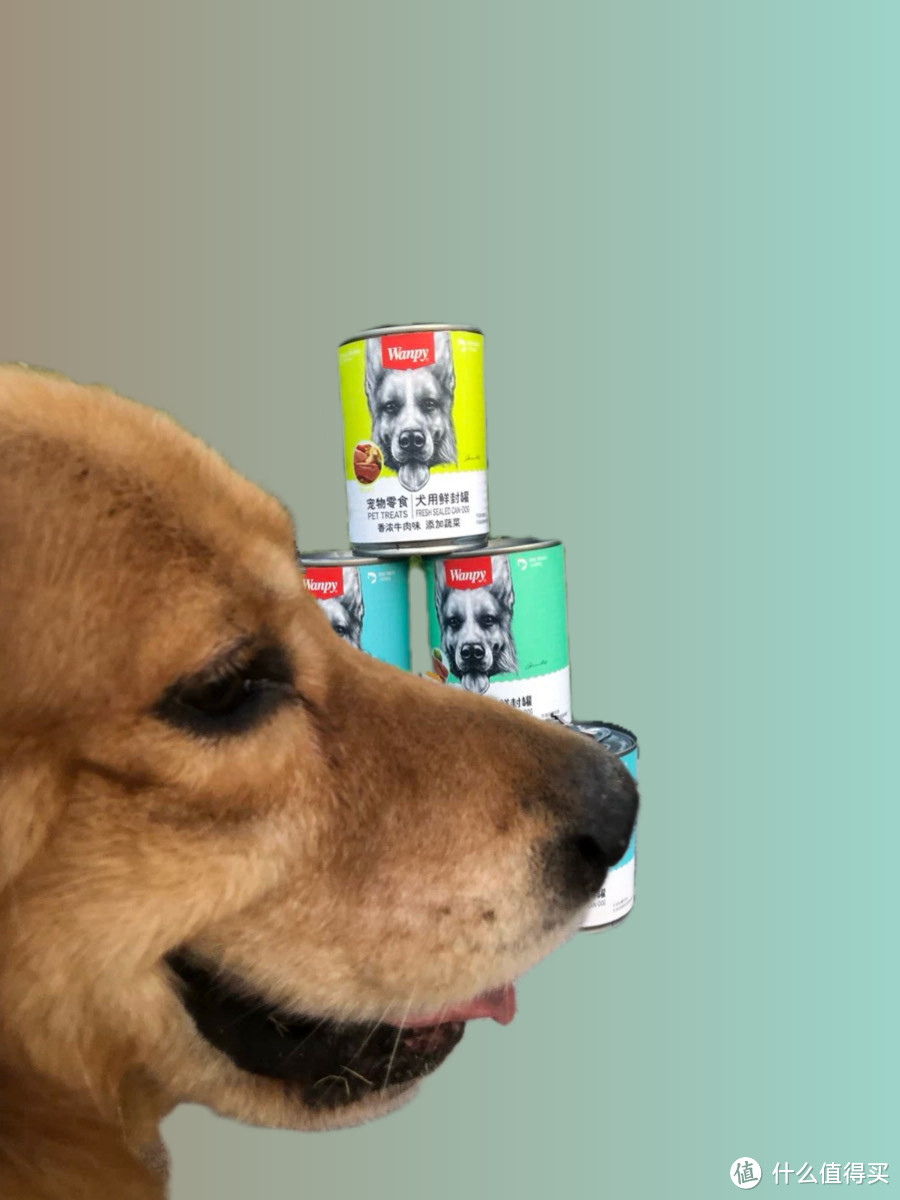 适合大狗狗吃的超棒罐头分享。