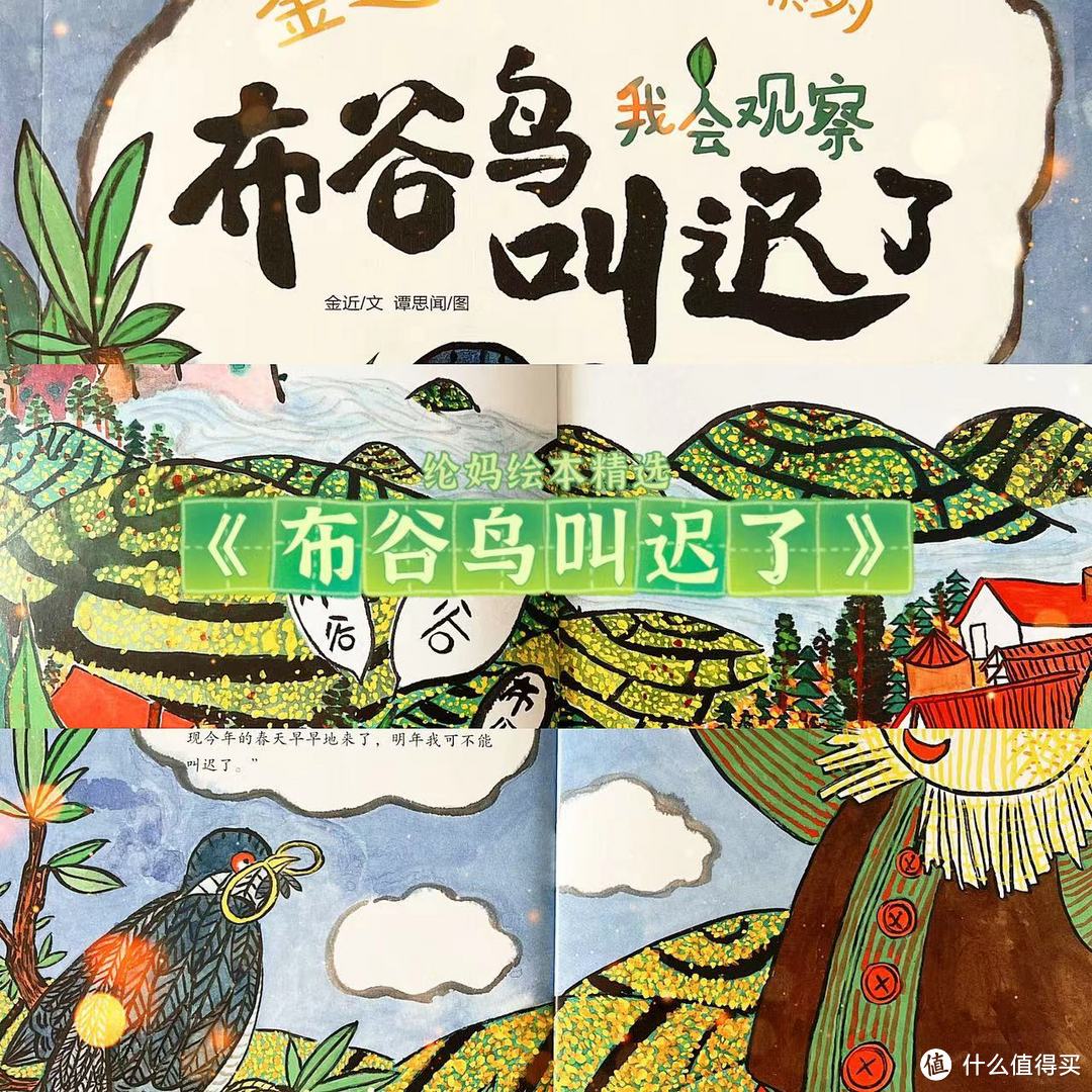 |《中国获奖名家绘本·金近篇》经典中的经典|