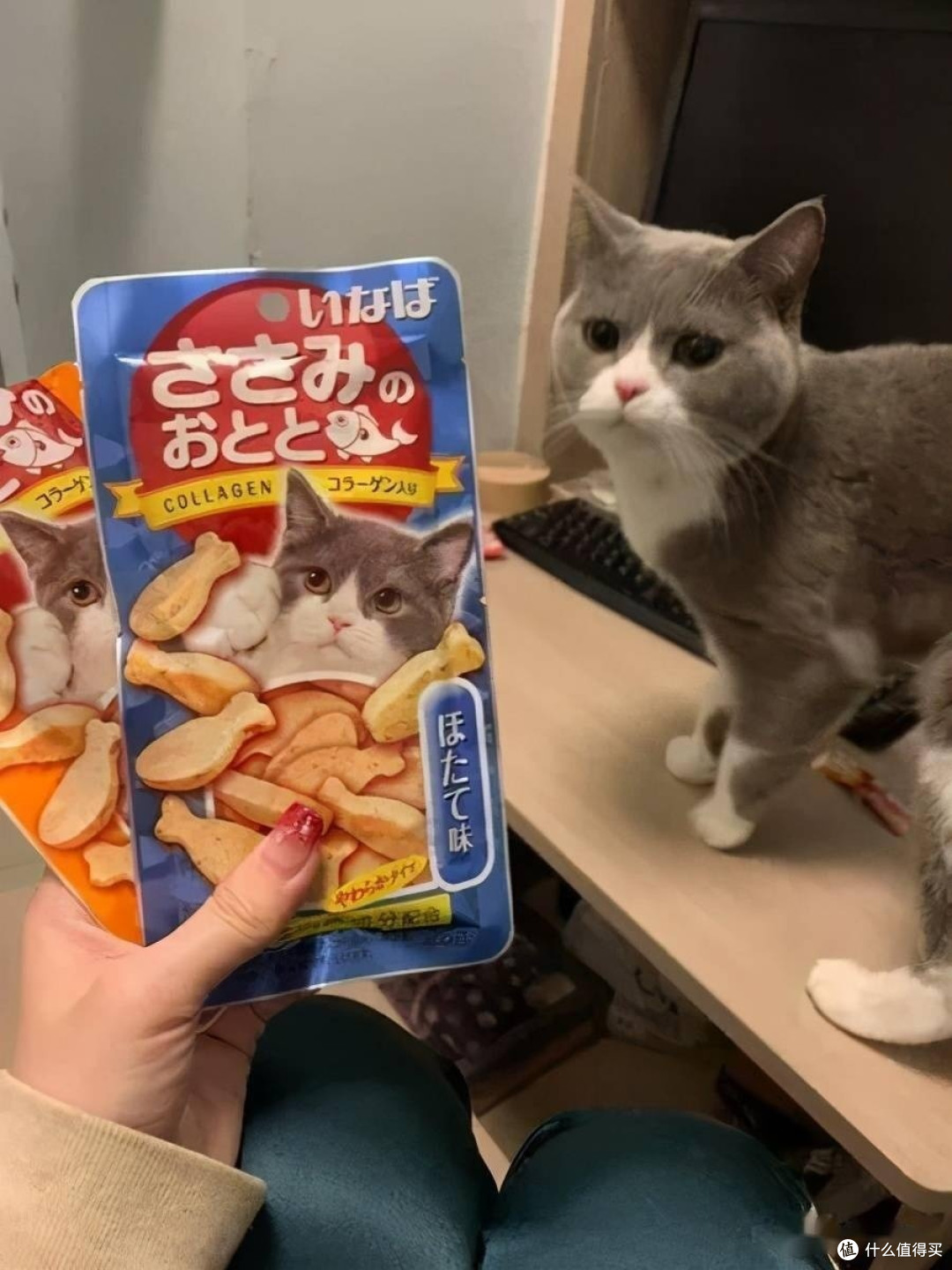 猫咪零食品牌推荐