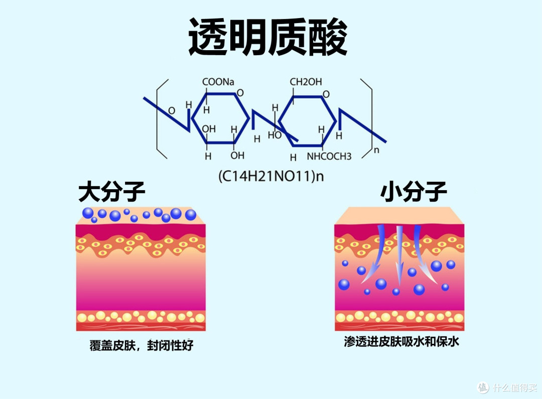透明质酸--从开价到贵妇，为什么品牌都爱它？