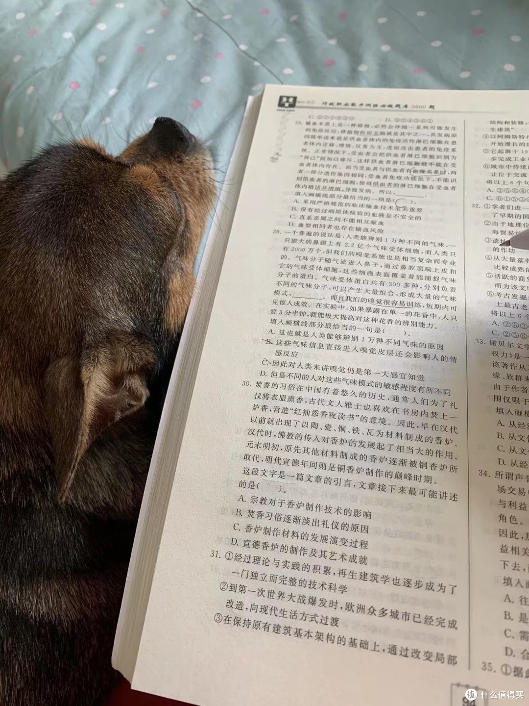 我曾经很怕狗狗,现在却爱狗狗如命