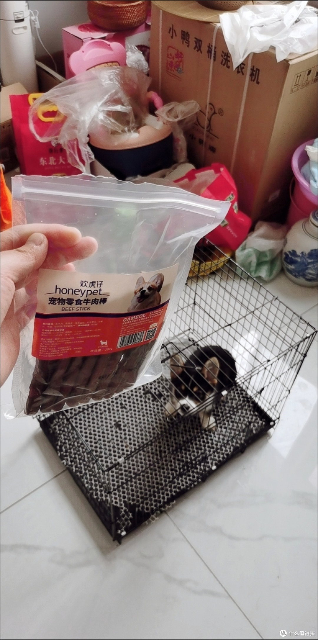 狗狗零食好物