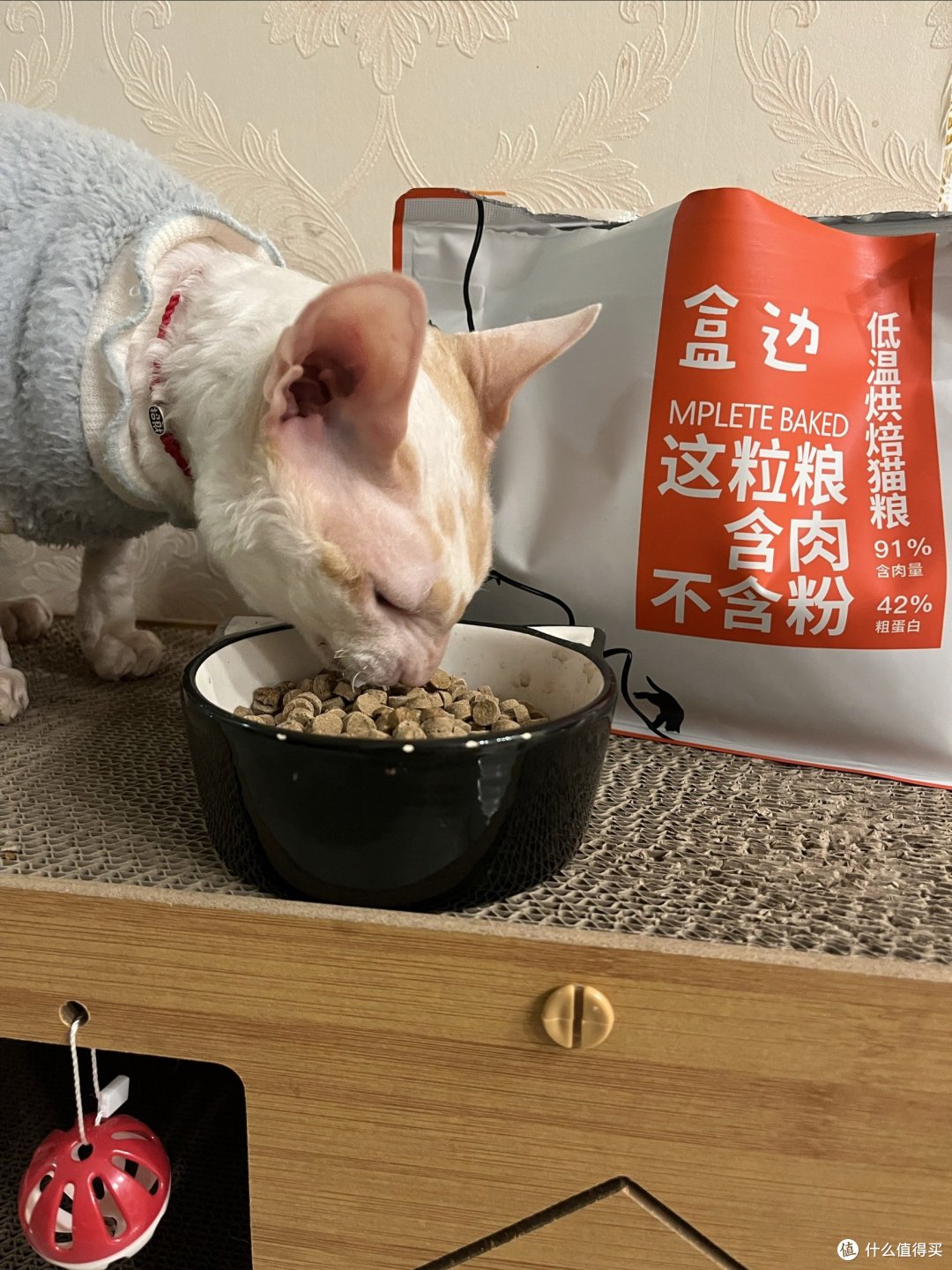 桃桃酱的哈基米口粮