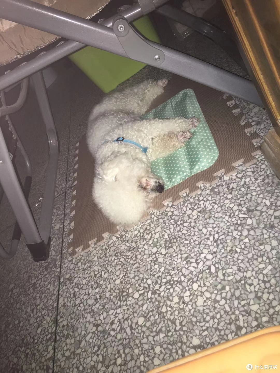小白刚来的第一天
