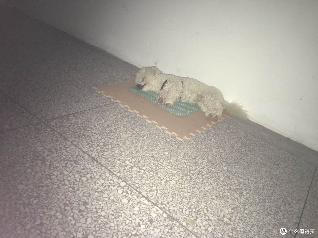 小白刚来的第一天