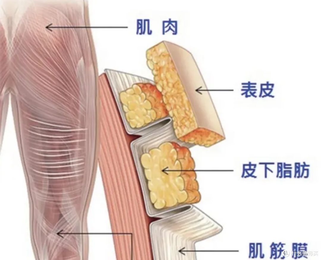 筋膜枪的危害和副作用有哪些?揭露四大骗局黑幕!