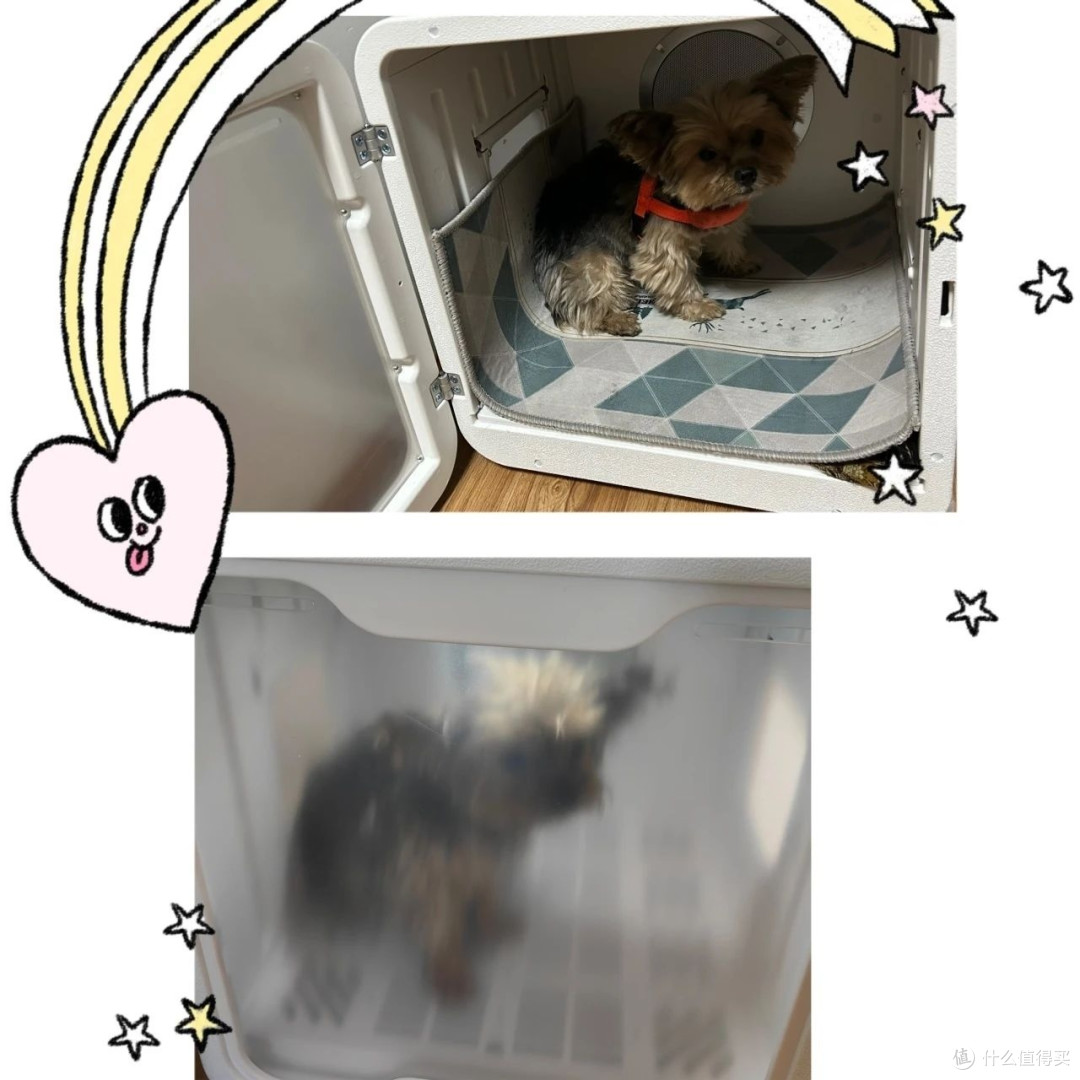 真的谁养的东西随谁。