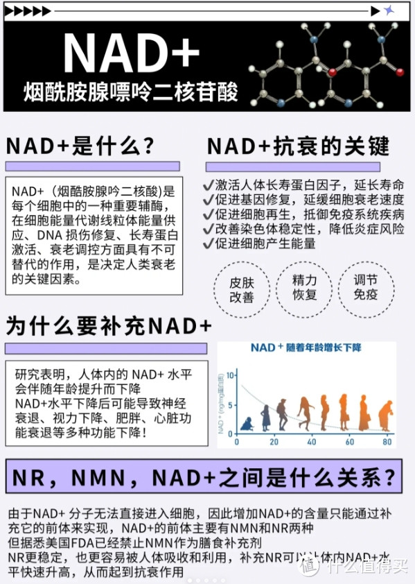 明星都在吃 NAD+补充剂，你还在等什么？