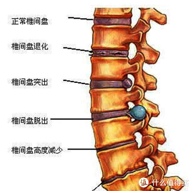 年少不知腰可贵！小姐姐带你选购“人体工学椅”，结合真人体验和对比演示，彻底讲透人体工学椅细节！